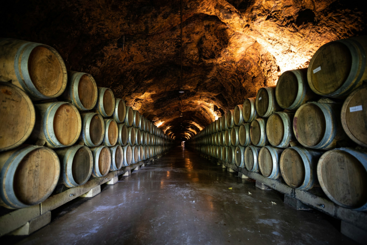 Ophorus Tours - Vosne-Romanée & More: Private Half-Day Côte de Nuits Wine Tour from Dijon
