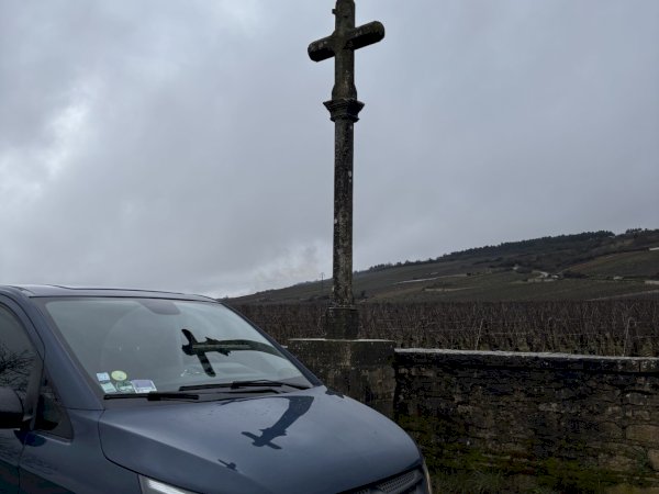 Ophorus Tours - Vosne-Romanée & More: Private Half-Day Côte de Nuits Wine Tour from Dijon