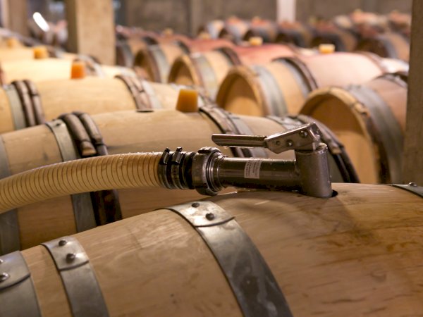 Ophorus Tours - Discover Côte de Beaune: Private Half-Day Wine Tour from Dijon