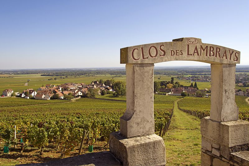 Ophorus Tours - Côte de Nuits & Côte de Beaune: Private Burgundy Wine Tour from Dijon