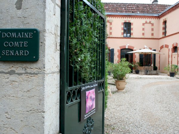 Ophorus Tours - Côte de Nuits & Côte de Beaune: Private Burgundy Wine Tour from Dijon