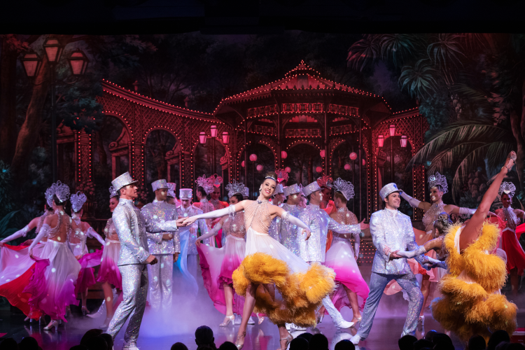Ophorus Tours - Moulin Rouge VIP Dinner & Show (Paris): Transfers, Champagne & Exclusive Seating