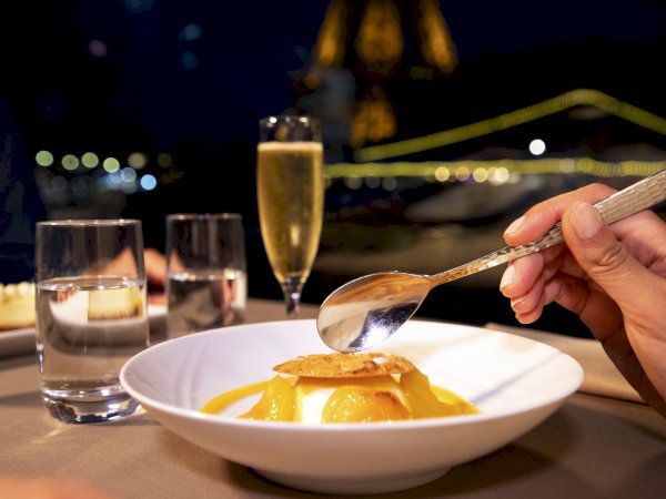 Ophorus Tours - Seine River Dinner Cruise VIP - Paris Lights Await