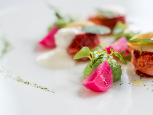 Ophorus Tours - Luxury Seine River Cruise & Fine Dining in Paris France