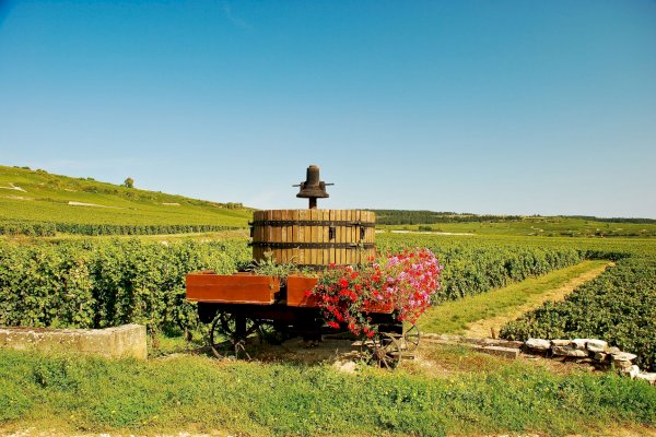 Ophorus Tours - 4-Day Private Burgundy Wine Tour Package - Dijon - 4* Hotel