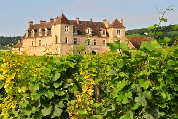 Ophorus Tours - 4-Day Private Burgundy Wine Tour Package - Dijon - 5* Hotel