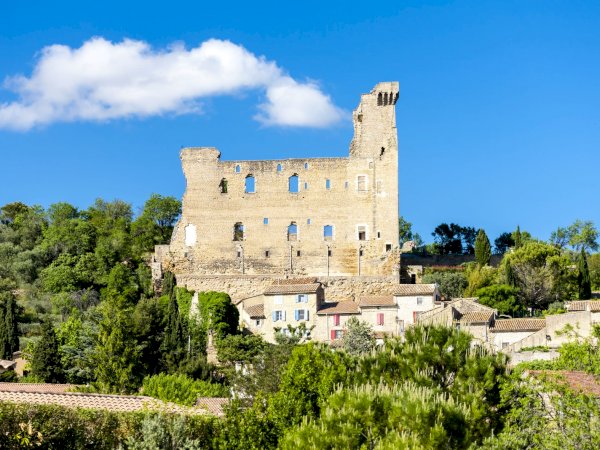 Ophorus Tours - Explore Rhône Valley Wines: Private Tour from Avignon to Châteauneuf-du-Pape