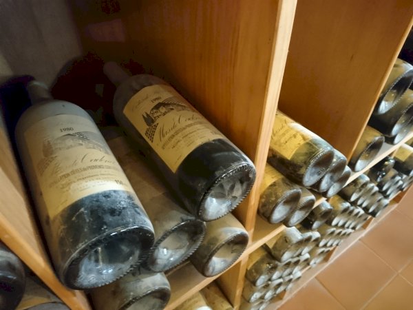 Ophorus Tours - Private Wine Tour from Aix-en-Provence: A Personalized Vineyard Visit