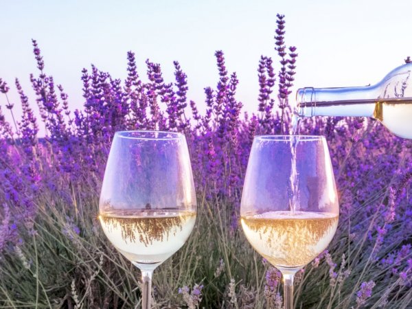 Ophorus Tours - Private Wine Tour from Aix-en-Provence: A Personalized Vineyard Visit