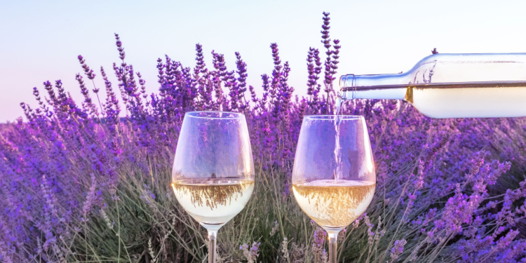 Ophorus Tours - Provence Wine Tour Private Half-Day from Aix-en-Provence