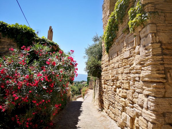 Ophorus Tours - Luberon Villages: A Private Personal Journey Through Provence