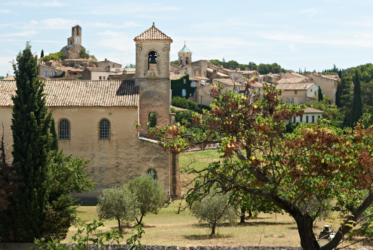 Ophorus Tours - Luberon Villages: Private Half-Day Tour from Aix