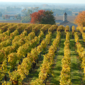 Scenic Drive to the Blaye Wine Region