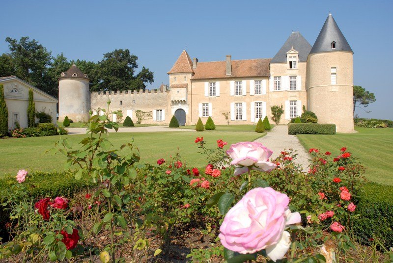 Ophorus Tours - Château d'Yquem Visit & Wine Tasting - Anthology Tour