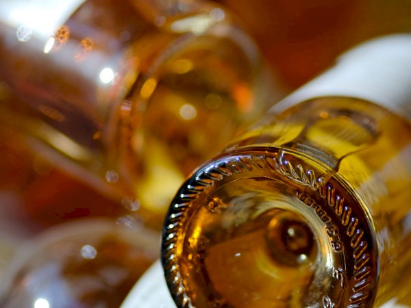 Ophorus Tours - Château d'Yquem Visit & Wine Tasting - Anthology Tour