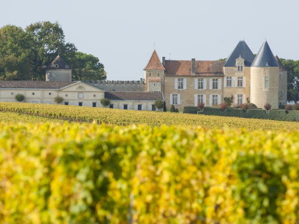 Ophorus Tours - Château d'Yquem Visit & Wine Tasting - Anthology Tour