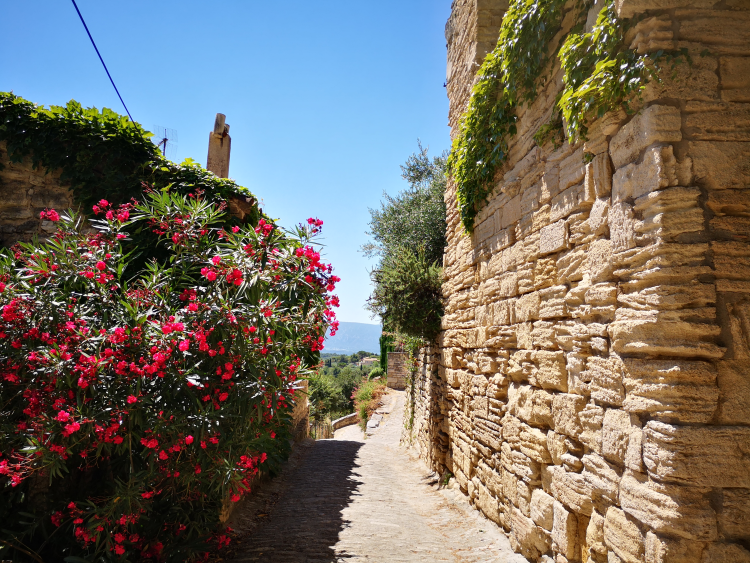 Ophorus Tours - Luberon Villages & Olive Oil Tour from Aix-en-Provence