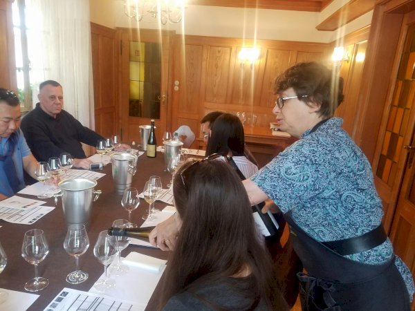 Ophorus Tours - Taste of Alsace: Private Food & Wine Tour in Strasbourg