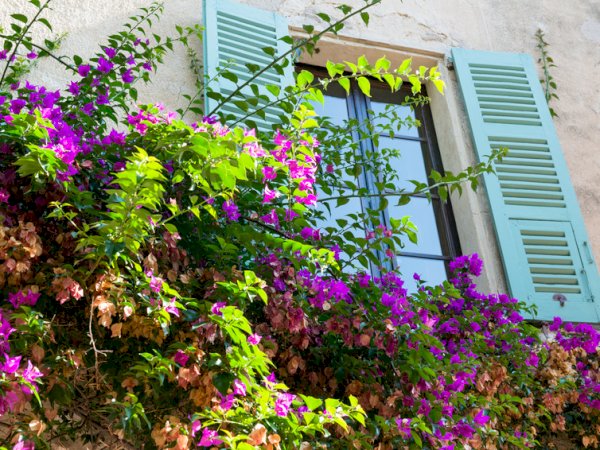 Ophorus Tours - Perfume Capital & Charming Villages: Grasse, Gourdon & St Paul Cruise Excursion from Cannes