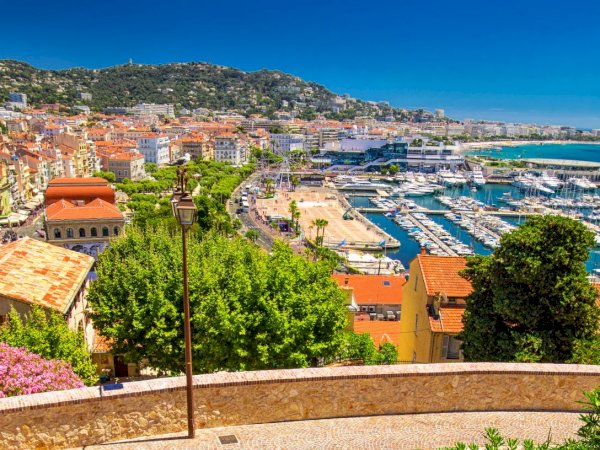 Ophorus Tours - Perfect Day in Port: Cannes & Grasse Private Shore Excursion