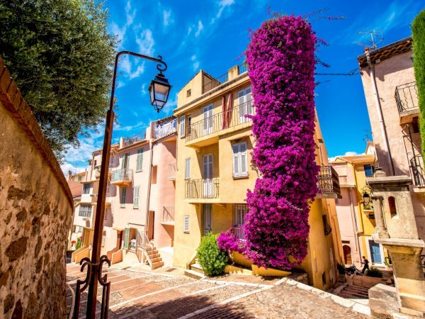Ophorus Tours - From Nice Port to Cannes, Antibes & Juan Les Pins shore excursion private