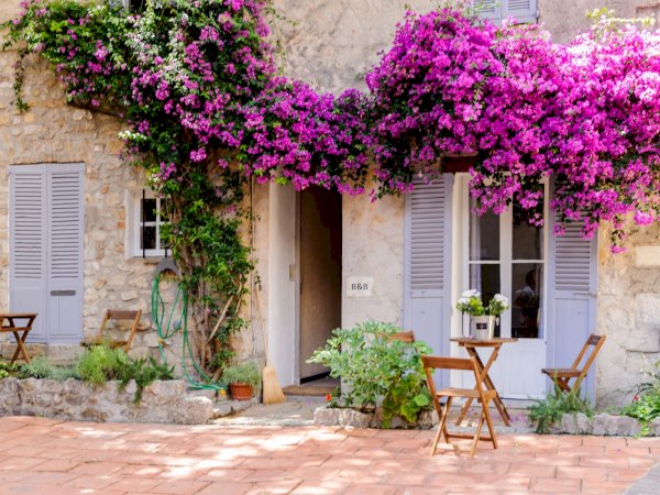 Ophorus Tours - From Villefranche sur Mer Cruise Port to Cannes, Antibes & Juan Les Pins private