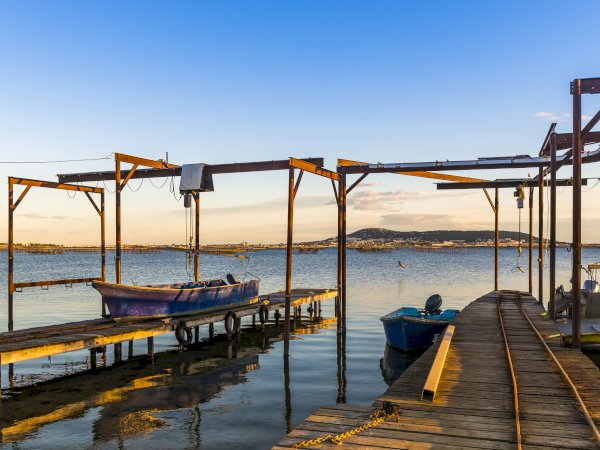 Ophorus Tours - From Sète Port Walking Tour, Oyster tasting & Languedoc wines private