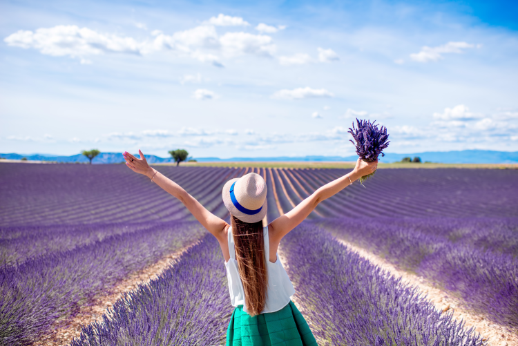 Ophorus Tours - Lavender Fields Private Half-Day Tour from Aix-en-Provence