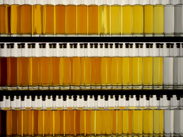 Ophorus Tours - La Rochelle Cruise Excursion to Cognac Distilleries