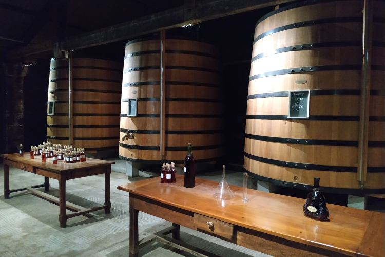 Ophorus Tours - La Rochelle Cruise Excursion to Cognac Distilleries