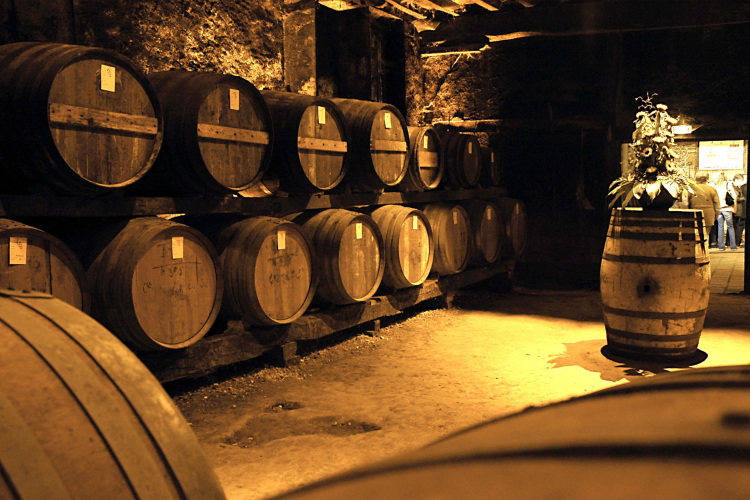 Ophorus Tours - La Rochelle Cruise Excursion to Cognac Distilleries