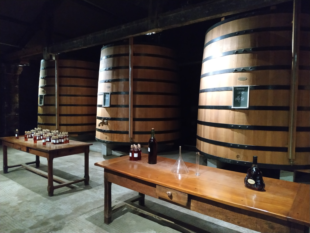Ophorus Tours - La Rochelle Cruise Excursion to Cognac Distilleries