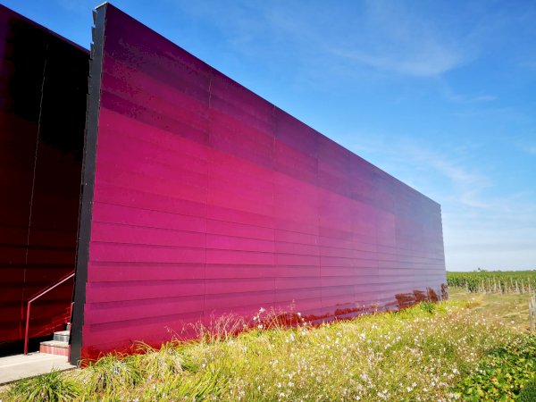 Ophorus Tours - Vineyards & Tastings: Private Bordeaux Wine Tour by Train from Paris