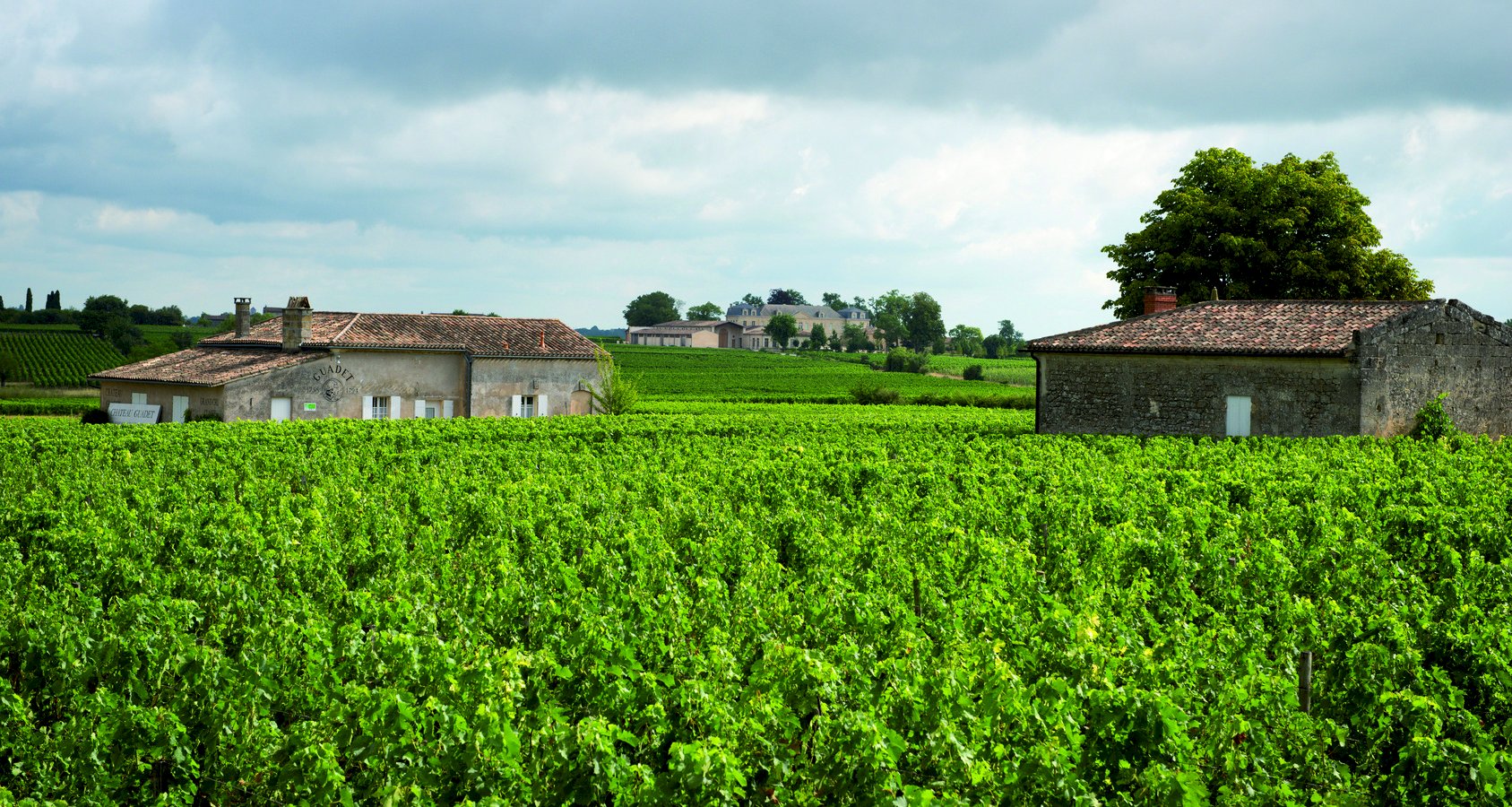 Ophorus Tours - Vineyards & Tastings: Private Bordeaux Wine Tour by Train from Paris