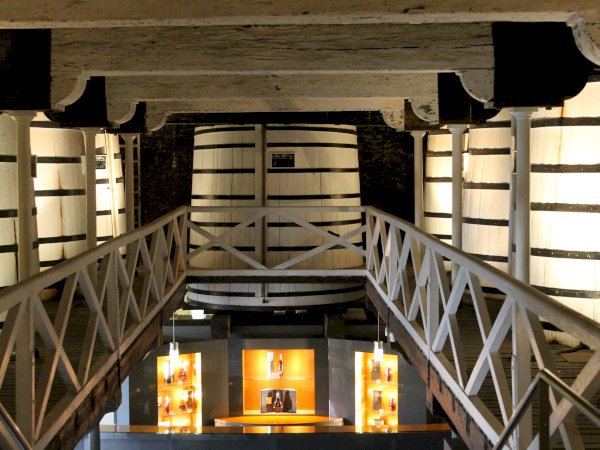 Ophorus Tours - Explore Cognac's Secrets: Distillery Tours & Tastings from Bordeaux