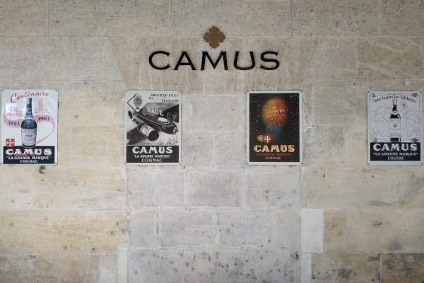 Ophorus Tours - Explore Cognac's Secrets: Private Distillery Tour & Tasting from Bordeaux