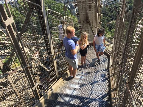 Ophorus Tours - Eiffel Tower 2nd Floor Visit by Elevator and Seine River Cruise