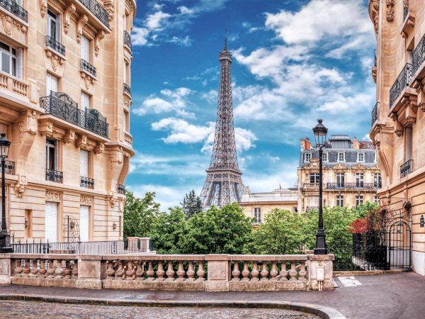Ophorus Tours - Eiffel Tower 2nd Floor Visit by Elevator and Seine River Cruise