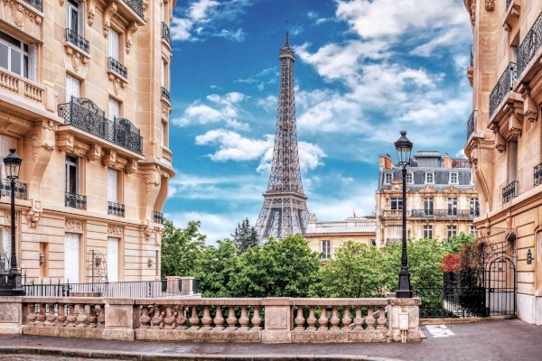 Ophorus Tours - Eiffel Tower 2nd Floor Visit by Elevator and Seine River Cruise