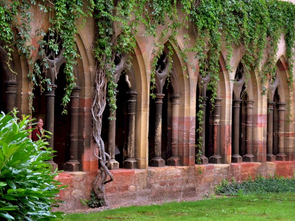 Ophorus Tours - Uncover Colmar's Rich History & Culture: Private Walking Tour