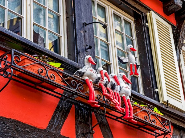 Ophorus Tours - Uncover Colmar's Rich History & Culture: Private Walking Tour