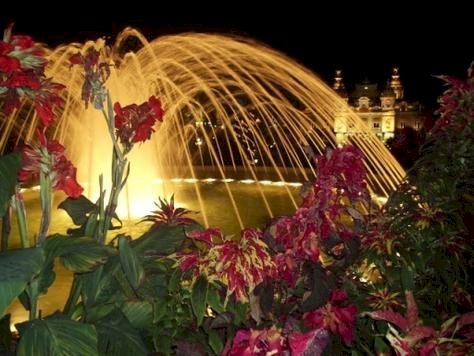 Ophorus Tours - From Nice to Monaco & Monte Carlo night tour private