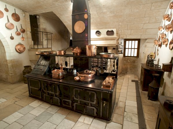 Ophorus Tours - Chenonceau Castle Visit from Tours: An Intimate Exploration