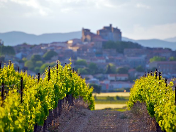 Ophorus Tours - Discover Montpellier's