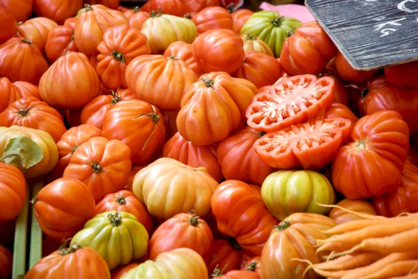 Ophorus Tours - Montpellier Private Gourmet Food & Wine Tour 