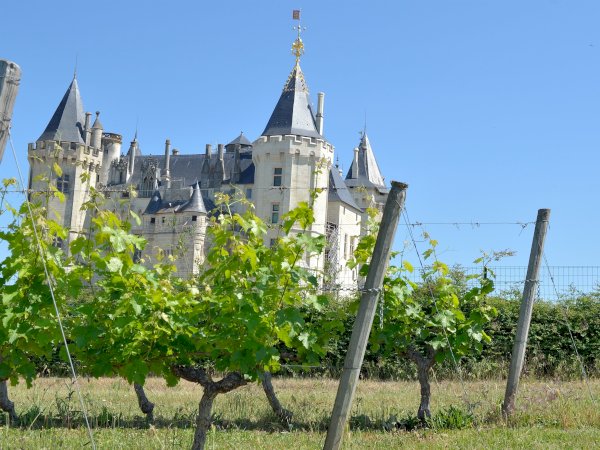Ophorus Tours - 10-Day Private Normandy, Loire Valley & Bordeaux Package - 4* Hotel