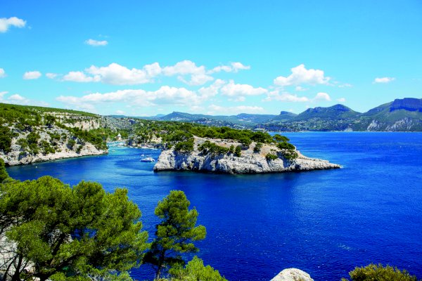 Ophorus Tours - Cassis Village Tour, Calanques Boat Ride & Provence Wines Private Tour