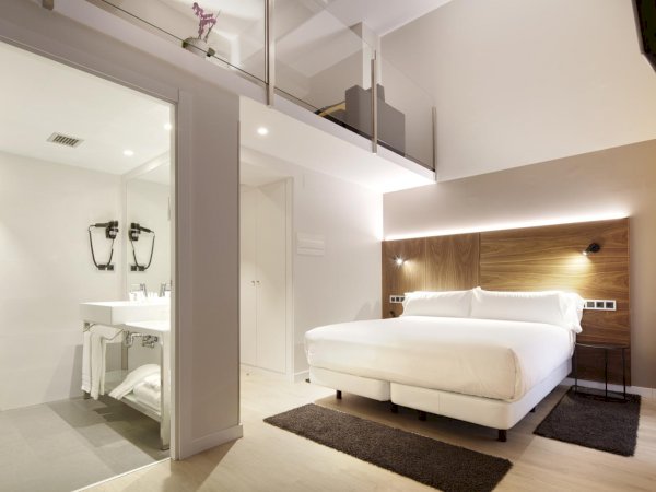 Ophorus Tours - Hotel de Sèze (Bordeaux) - Hotel Arrizul Congress (San Sebastian)