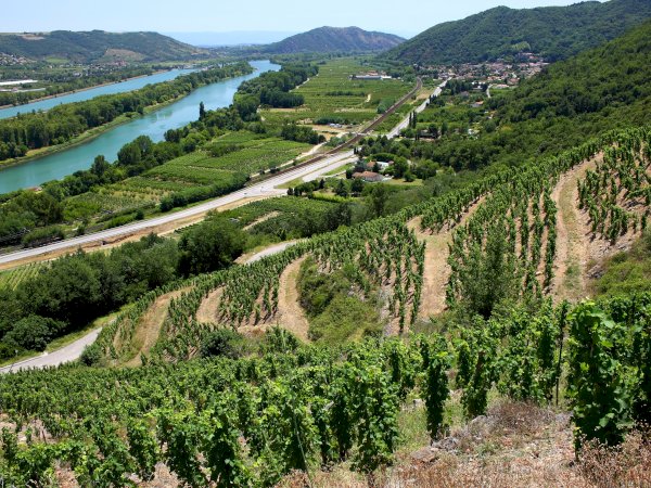 Ophorus Tours - Côte-Rôtie & Condrieu: Shared Tour from Lyon