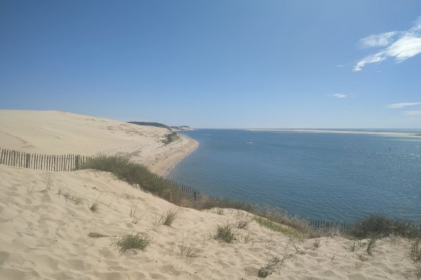 Ophorus Tours - Discover Arcachon's Charm & Pilat Dune: Private Bordeaux Shore Trip